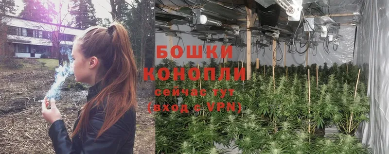 Каннабис OG Kush  купить  цена  Кимовск 